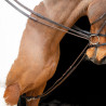 Shires Velociti Gara Elastische Schlaufzügel - Braun