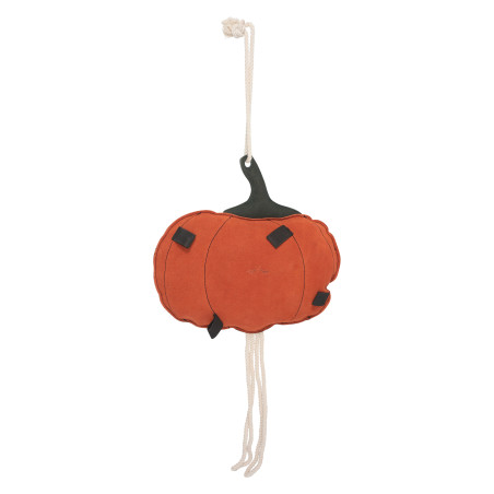 HV Polo Pumpkin Stallspielzeug