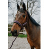 Halfter + Führstrick Equithème Coco - Pflaume