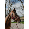 Halfter + Führstrick Equithème Coco - Bordeaux