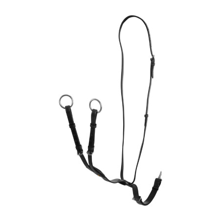 Martingal mit Lederhalsband, verstellbare Schnallen