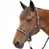 Halfter-Set aus Nylon/Lurex + Führstrick Canter - Marine / Silber