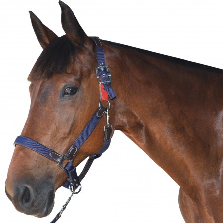 Sicherheits-Halfter Flags & Cup