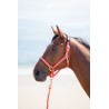 Nylonhalfter Topaz Shires - Grau