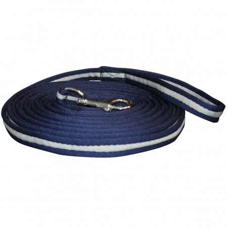 Longe zum Longieren Canter