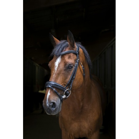 Zaumzeug Eric Thomas Pro Design