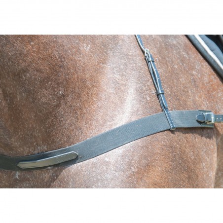 Elastische T-Zäumung