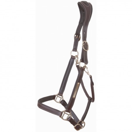 Lederhalfter mit Platte Anatomisches Genickstück T de T