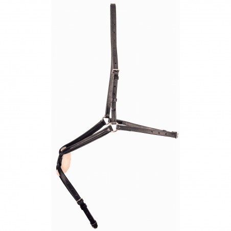 Kreuznasenriemen T de T