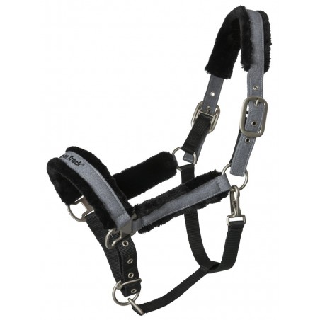 Halfter Back on Track Haze Collection