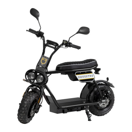 Elektroroller E-one 1000 W