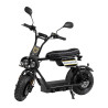 Elektroroller E-one 1000 W - Schwarz