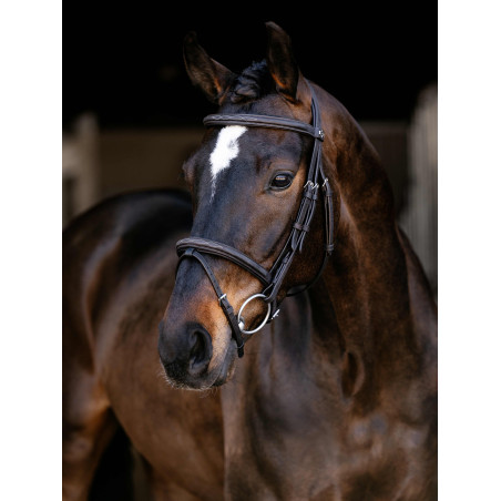 Arika Classique Flash Trense LeMieux