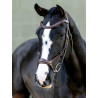 Kudos Sport-Trense Schwarz/Silber LeMieux - Havanna / Messing