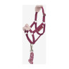 Halfter und Führstrick Vogue Hobby Horse LeMieux - Brombeere