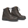 Wild River Lace Paddock Mountain Horse - Braun