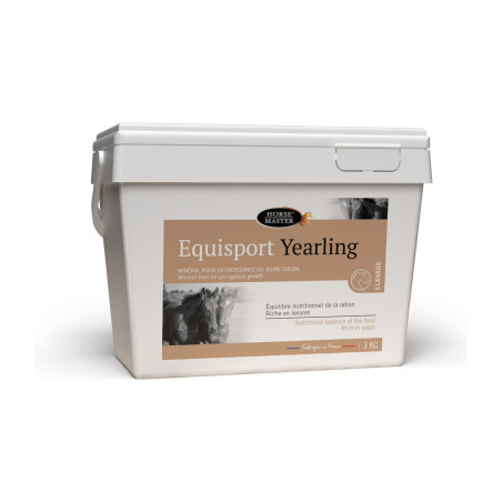 Equisport Jährlingspferde Meister