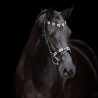 Trense HV Polo Chaya - Schwarz / Gold