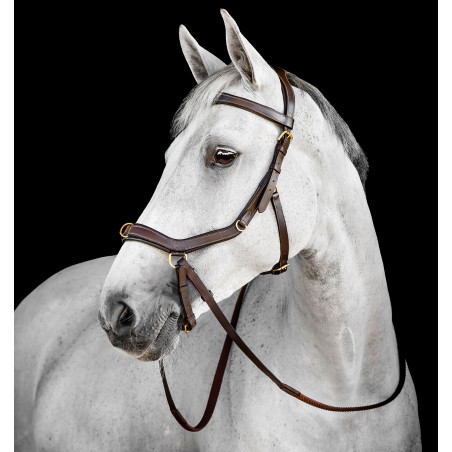 Horseware Micklem® Multi Bridle