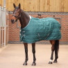 Stalldecke Shires Tempest Original 200 - Smaragd