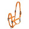 Covalliero Halfter HW26 - Orange