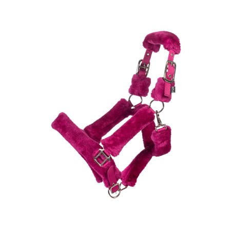 Halfter Comfort- HKM