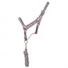 Gefüttertes synthetisches Knotenhalfter + geflochtenes amerikanisches Führseil T de T - Grau / Rosa