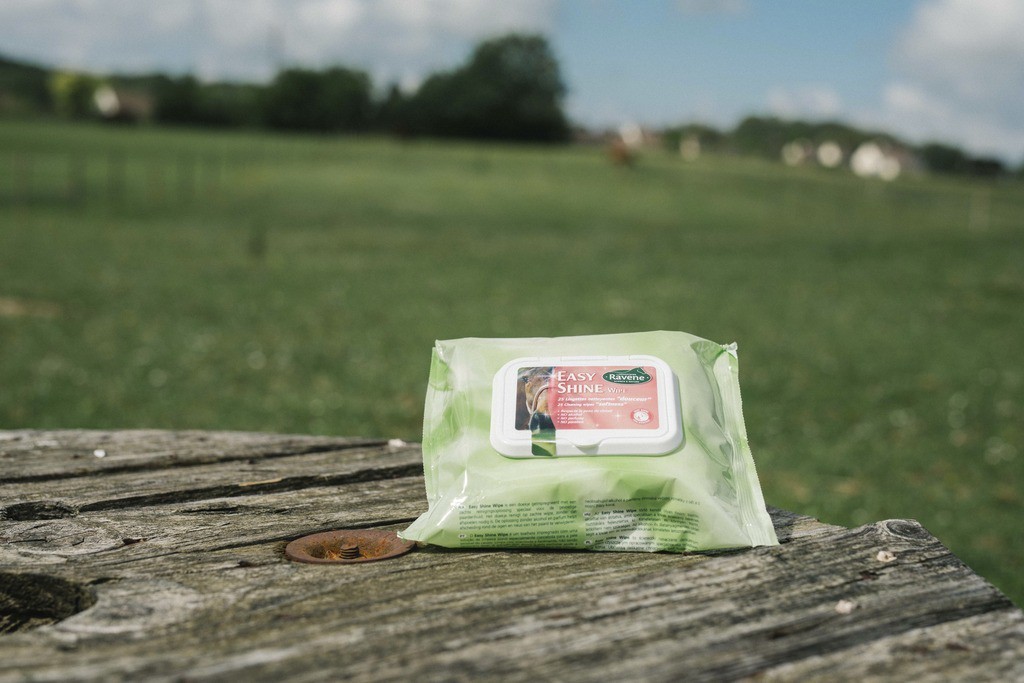 Easy Shine Wipe Ravene...