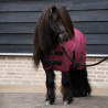 Stalldecke HV Polo Sacha - Weinrot