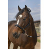 Halfter Equithème Nylon Strass - Pink