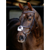 Arika Mexikanisches Reithalfter LeMieux - Havanna / Silber