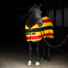 Fleecedecke Imperial Riding Stripe - Gold