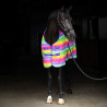 Fleecedecke Imperial Riding Stripe - Regenbogen