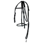 KOMPLETTE SYNTHETISCHE KANDARDE BETA