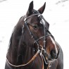 BRIDE PRO EN BETA - Schwarz