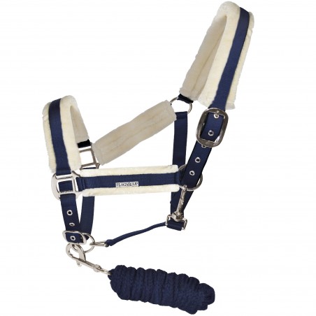 Halfter- und Führstrick-Set Velta Flags & Cup