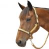 Halfter-Set aus Nylon/Lurex + Führstrick Canter - Honig
