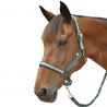 Halfter-Set aus Nylon/Lurex + Führstrick Canter - Grünspan