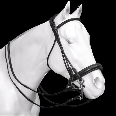 Trense Acavallo Parnaso Leder Doppelzügel