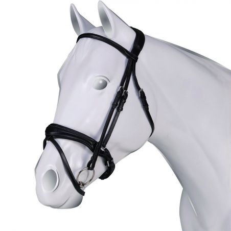 Lederzaum Acavallo Maestà