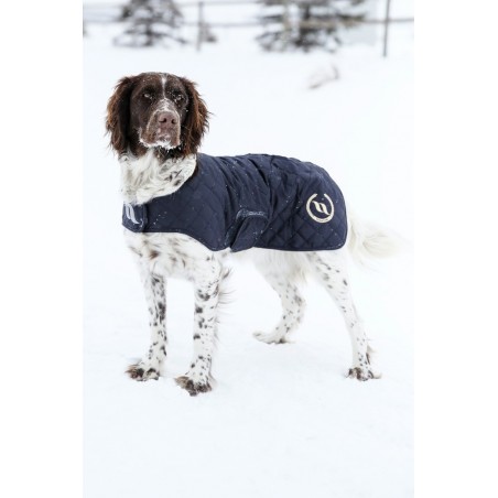 Hundemantel Back on Track® Night Collection