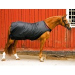 Gamasche Back On Track