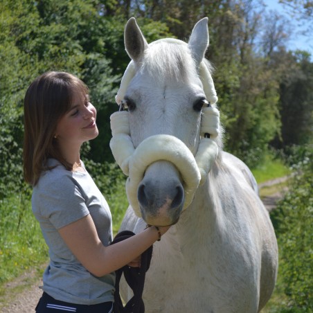 Transporthalfter Flags & Cup