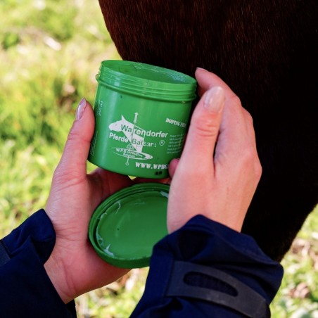 Warendorf-Balsam