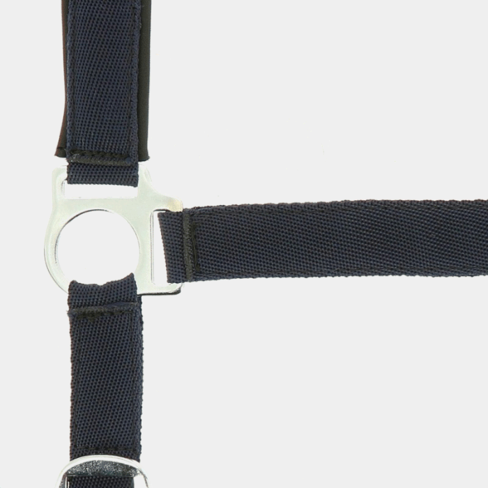 Norton Halfter aus Nylon mit Neopren unterlegt Norton Halfter aus Nylon mit Neopren unterlegt