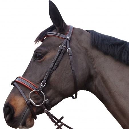 Trensenzaum Canter Alme