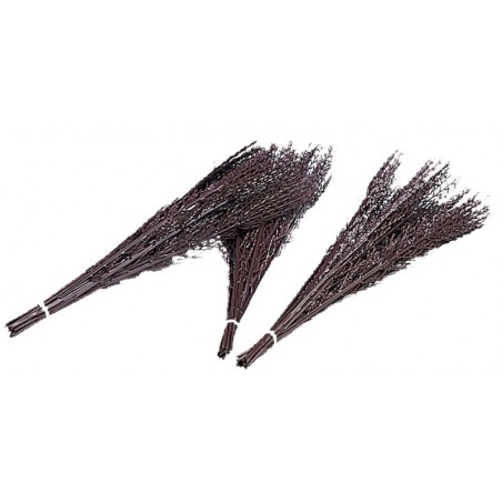 Birkenbündel La Gée