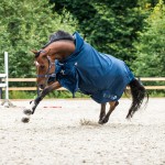 Regen­decke Horze Avalanche Pro mit Fleece-Futter