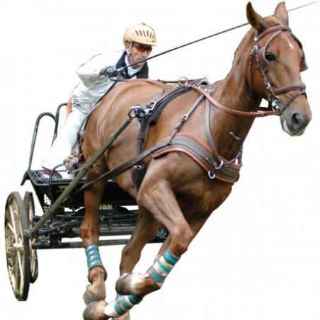 MARATHON-Trense Eric Le Tixerant