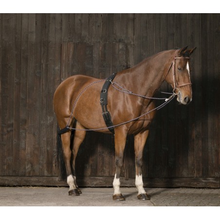 Norton Flaschenzugsystem